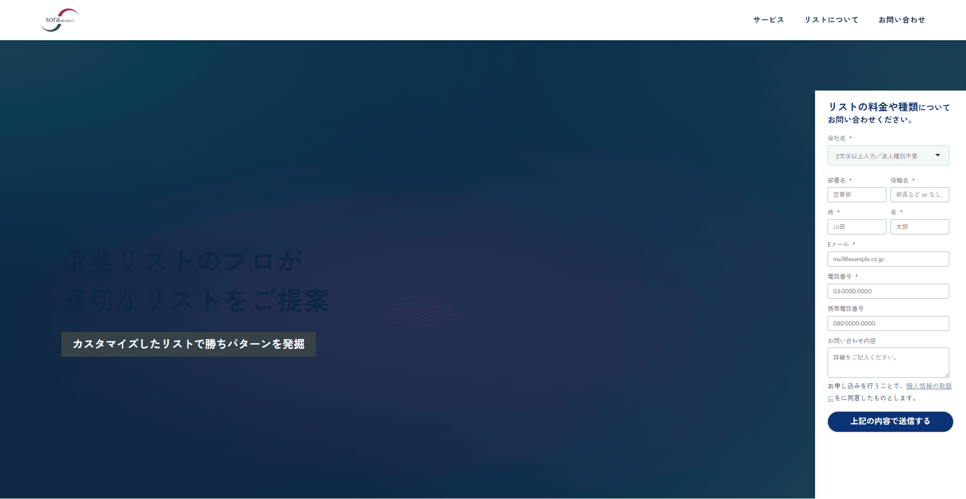 SORAプロジェクト